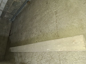 Diele Gerüstdielen-Maurerdielen 3 Stück