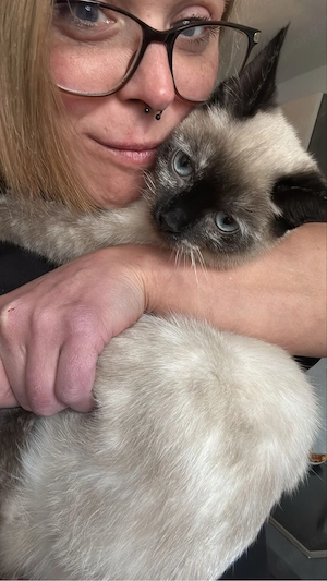 Farbige türkisch Angora 