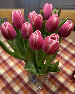 **Suche die Dame die gerne kuschelt 