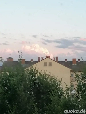 Nette, ruhige Wohnung gesucht Bild 2