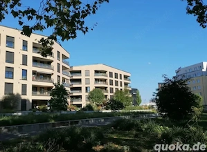 Gesuch- nette ruhige Wohnung in Mannheim 