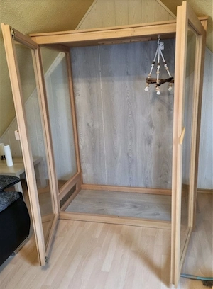 Terrarium mit 4 Kornnattern abzugeben