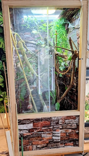 Terrarium für Chamäleon 