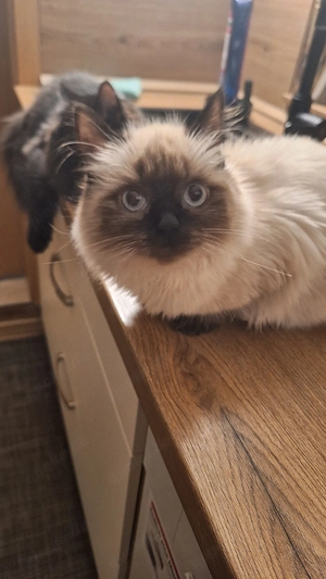 Butzengrabenweg 2A Bühlertal 