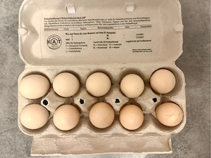 Bruteier Zwerg Seiden Hühner