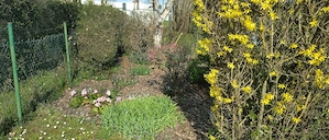    Eigentum: Gartengrundstück 553 qm mit Gebäuden, Solaranlage & Brunnen 64.999VB (kein Kleingarten) Bild 5