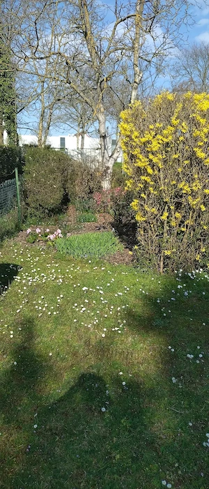   Eigentum: Gartengrundstück 553 qm mit Gebäuden, Solaranlage & Brunnen 64.999VB (kein Kleingarten) Bild 6