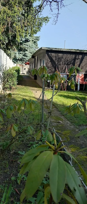    Gartengrundstück 553 m  mit Gebäuden, Solaranlage & Brunnen    69.900  VB