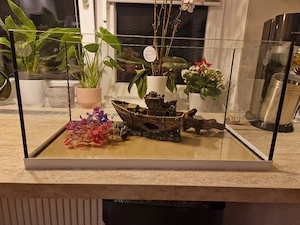 Aquarium mit Zubehör