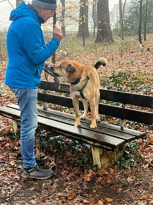 Jakob - Lustige grosse Tatze ist ein Menschenfreund Bild 7