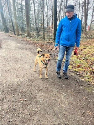 Jakob - Lustige grosse Tatze ist ein Menschenfreund Bild 9