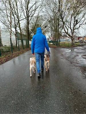 Jakob - Lustige grosse Tatze ist ein Menschenfreund Bild 8