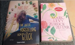 5 Bücher   Romane 