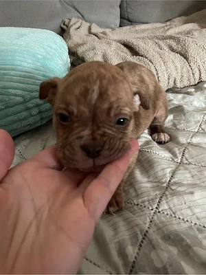 Ab April zuhause gesucht 