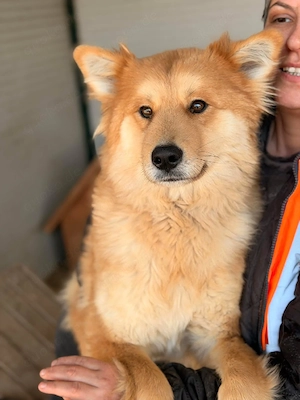 Kuschelmaus Tayla sucht ihre Familie 