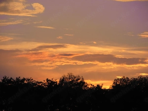 Kluger, mutiger und charmanter Mann gesucht (60-65) 