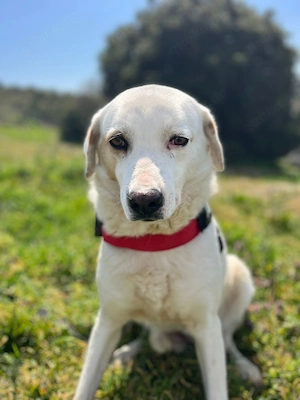 Leslie ist sehr liebevoll 