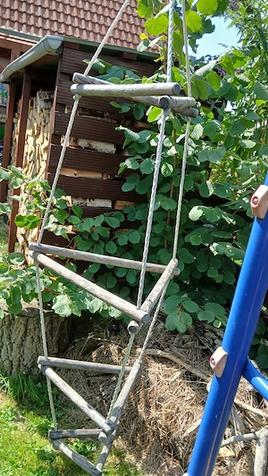Schaukel für Klettergrüst