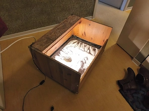 Terrarium für Landschildkröten mit Lampen