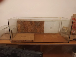 2 Terrarien mit Zubehör