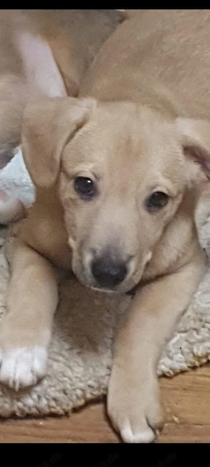 Felix sucht seine Liebllingsmenschen