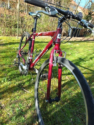 BERGAMONT Fluxus Sport Mountainbike 28zoll Größe L