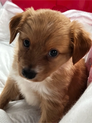 sanny das süsse mädchen