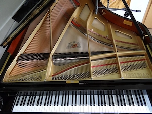 Verkauf Konzertflügel GROTRIAN-STEINWEG Concert 225 BJ 2005 Topzustand