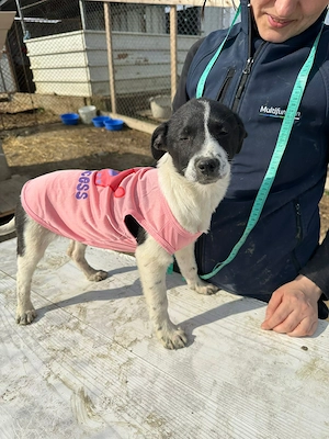 Xenia, süß, süsser - mehr geht nicht 