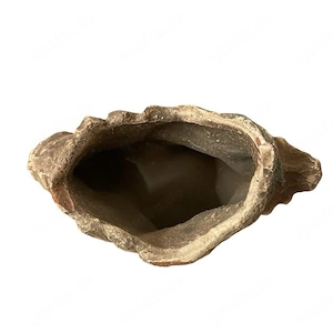 Aquarien. - Reptilienversteck