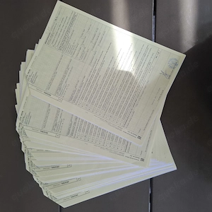 Griechische Landschildkröten 