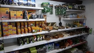 Dream Reptiles - Dein Terraristik Fachgeschäft seit 1996 Bild 2