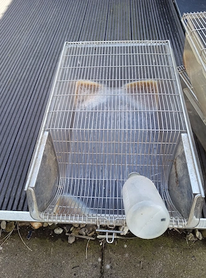 makrolon Zuchtkäfige Zuchtboxen t4 und t3 