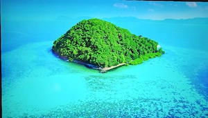 Samsung 65 Zoll top Zustand 