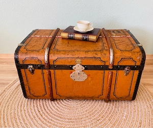 Antiker Überseekoffer 1890er | Wappen & Frachtzettel + Zollaufkleber        | Leinen-Einsatz    