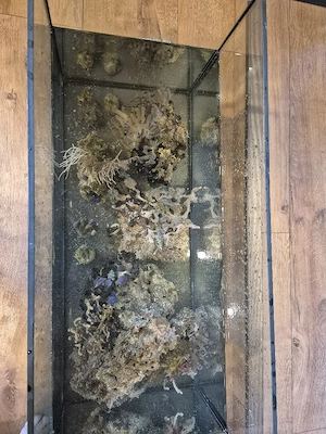 Meerwasser Auflösung 