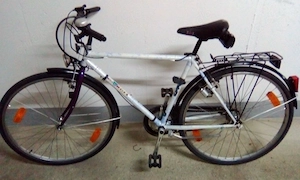 Herren-Trekkingrad, Marke: Epple-Fox