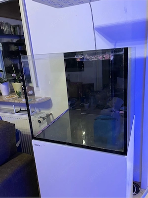 Schnelle Abgabe! Red Sea Meerwasser Aquarium XL 200