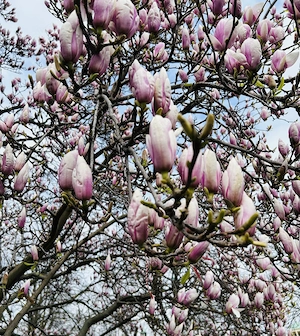 Harmonische Beziehung 