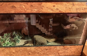 Terrarium  Bild 2