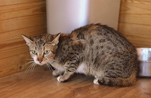 Moni sucht liebevolle Familie