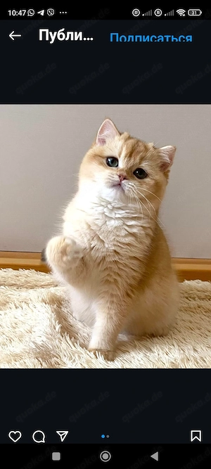 Deckater BKH. Bild 2