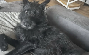 Hat sich Pineta in dein Herz geschlichen Bild 6