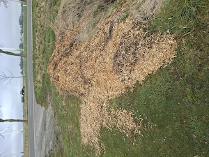 Holzschredder zu verschenken 