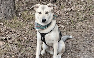 Lee sucht seine Menschen