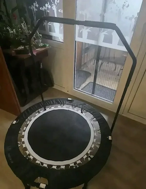 Fitness Trampolin 
