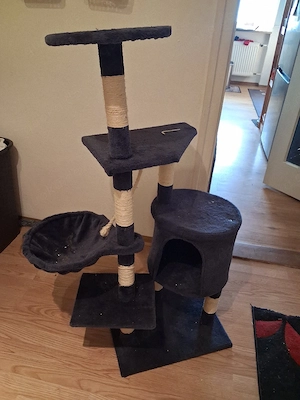 Zubehör für katzen Bild 3