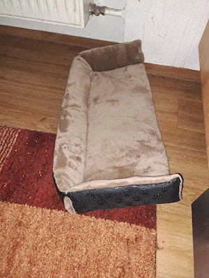 Zubehör für katzen Bild 4