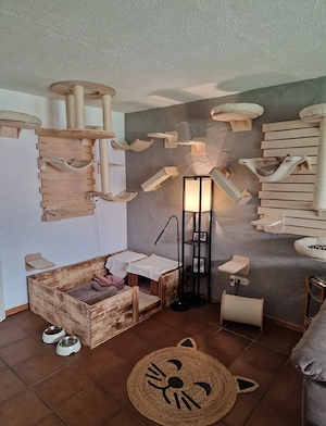 BKH Wurfankündigung mit Stammbaum. 