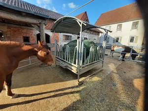 Offenstall Paddockboxen